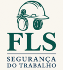 logo fls